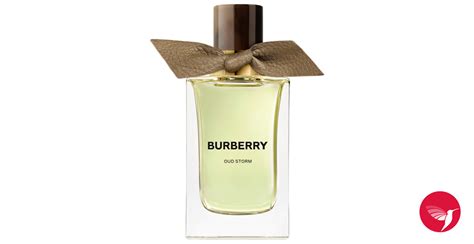 burberry h|burberry unisex perfume.